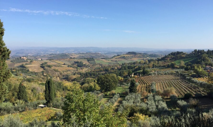 A Tantalizing Tuscan Vacation