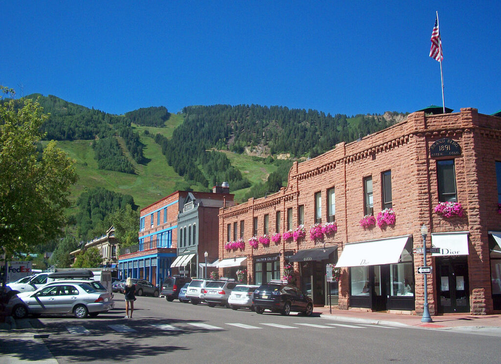 Aspen in summer