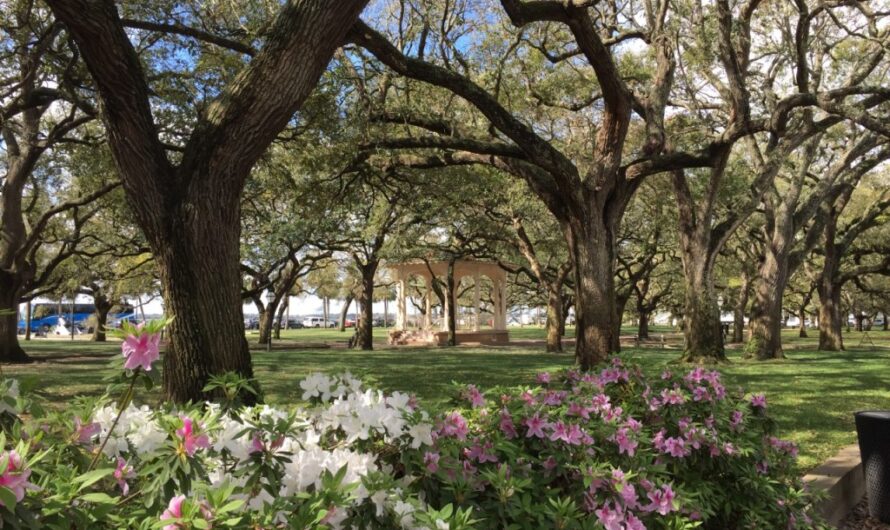 Charismatic Charleston, South Carolina