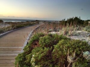 Boardwalk at Asilomar