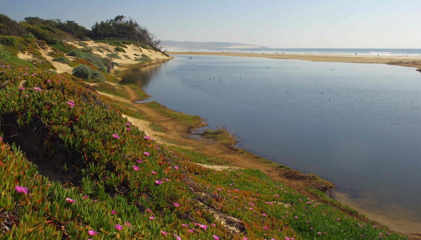 Pismo State Park