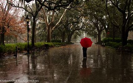 A Rainy Night in Savannah