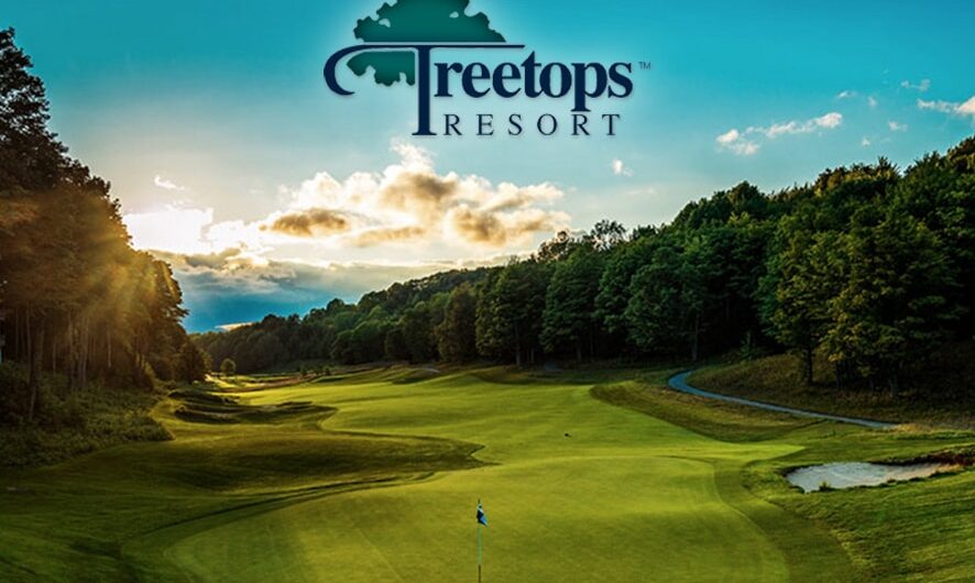 Thrilling Treetops and Threetops!