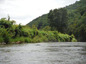 Wahoo Adventures - peaceful river