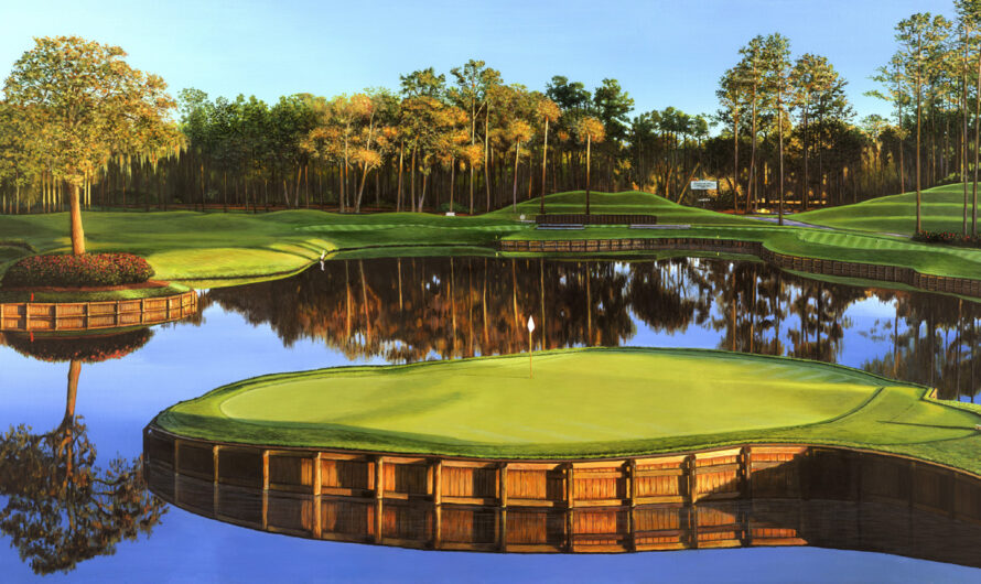 Playing the TPC Sawgrass Stadium Course