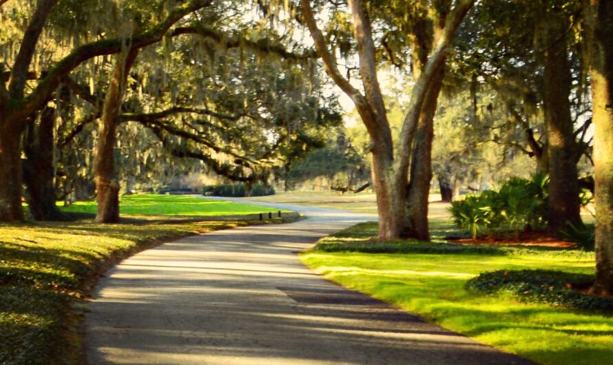 Enticing St. Simons Island