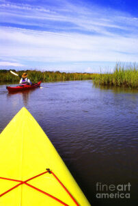 Kayaking is fun in St. Simons Island