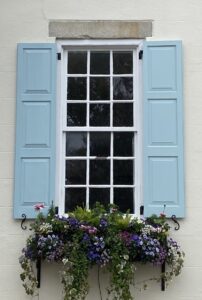 Another Window Box in Bloom