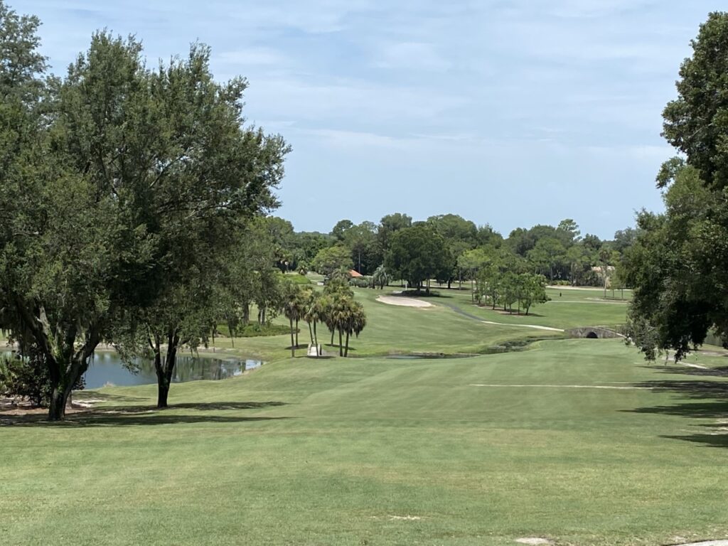 El Campeon Hole No. 7 water crosses fairway