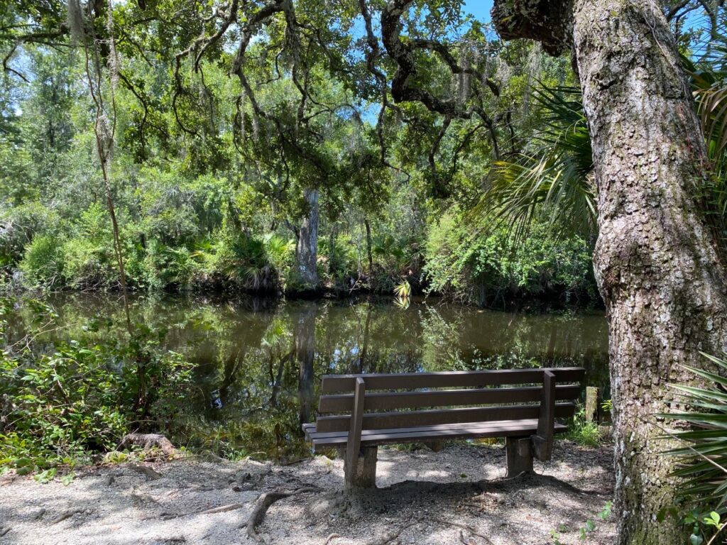 Peggy Park Trail Bench for relaxing