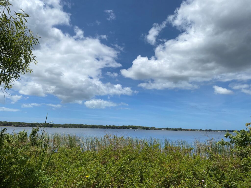 View of Lake Tarpon