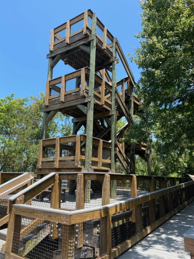 Tower on Lake Tarpon Boardwalk