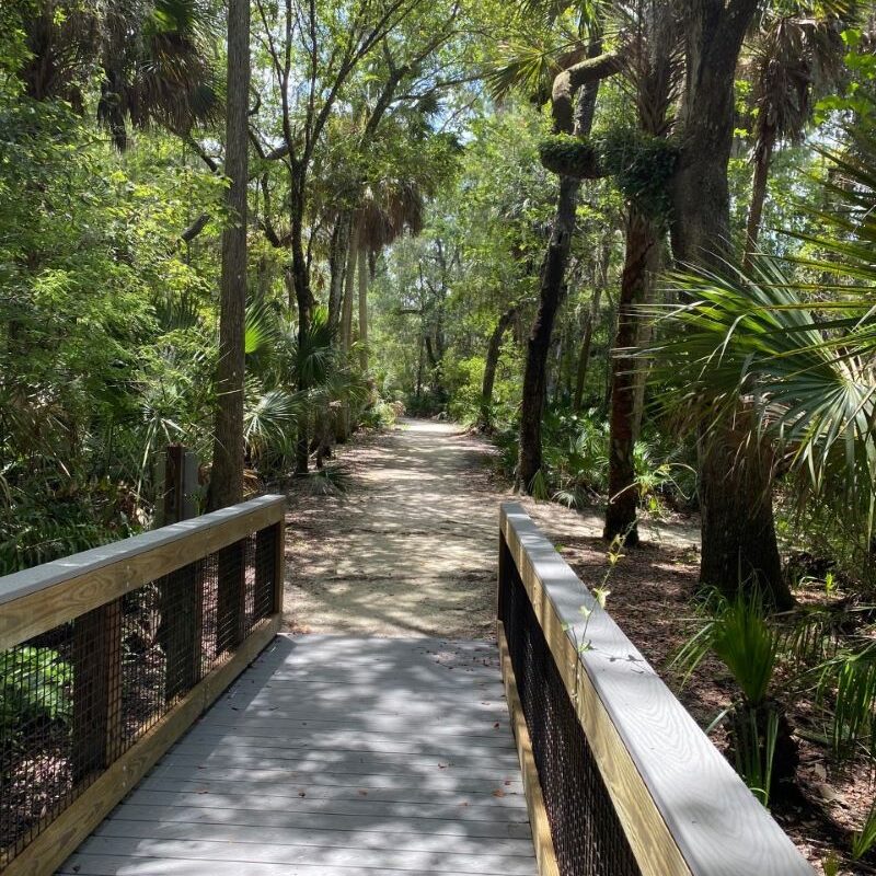 Peggy Park Trail as it transitions from boardwalk to trail