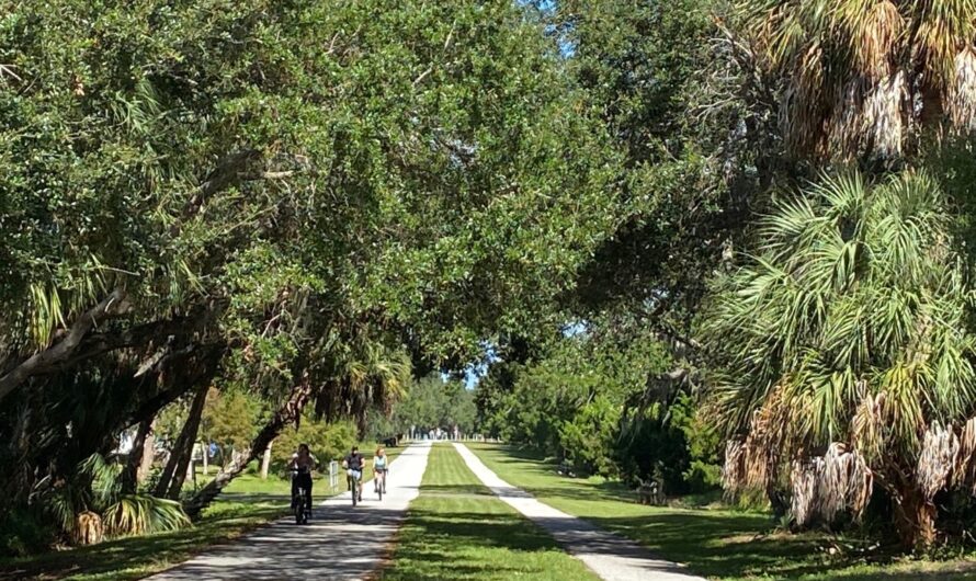 Explore the Pinellas Trail near Dunedin