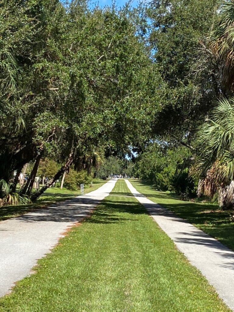 The Pinellas Trail north of Dunedin