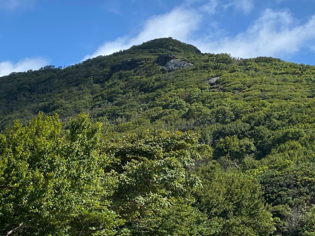 View of Craggy Garden Pinnacle from the Visitors Center