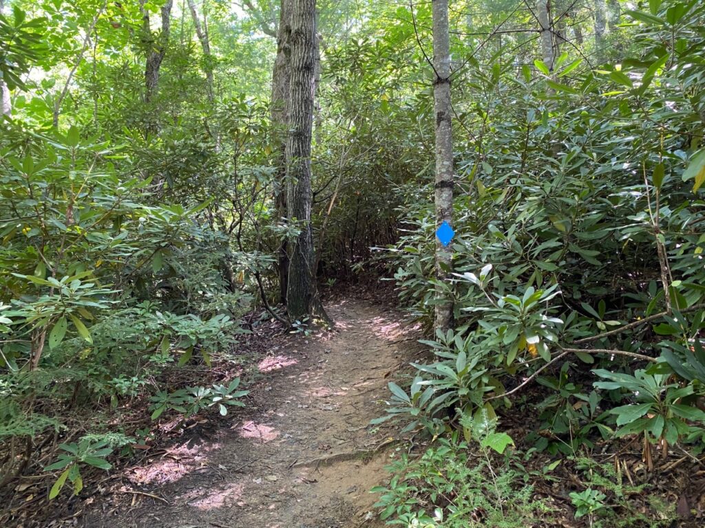 Gate Trail at Montreat