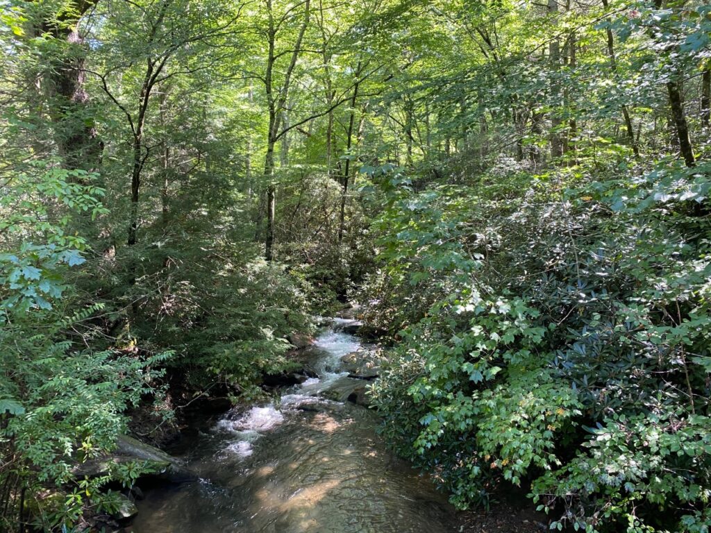 Scenic Flat Creek on the Gate Trail