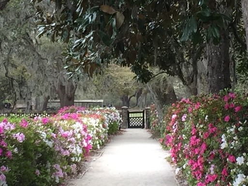 Middleton Place Gardens