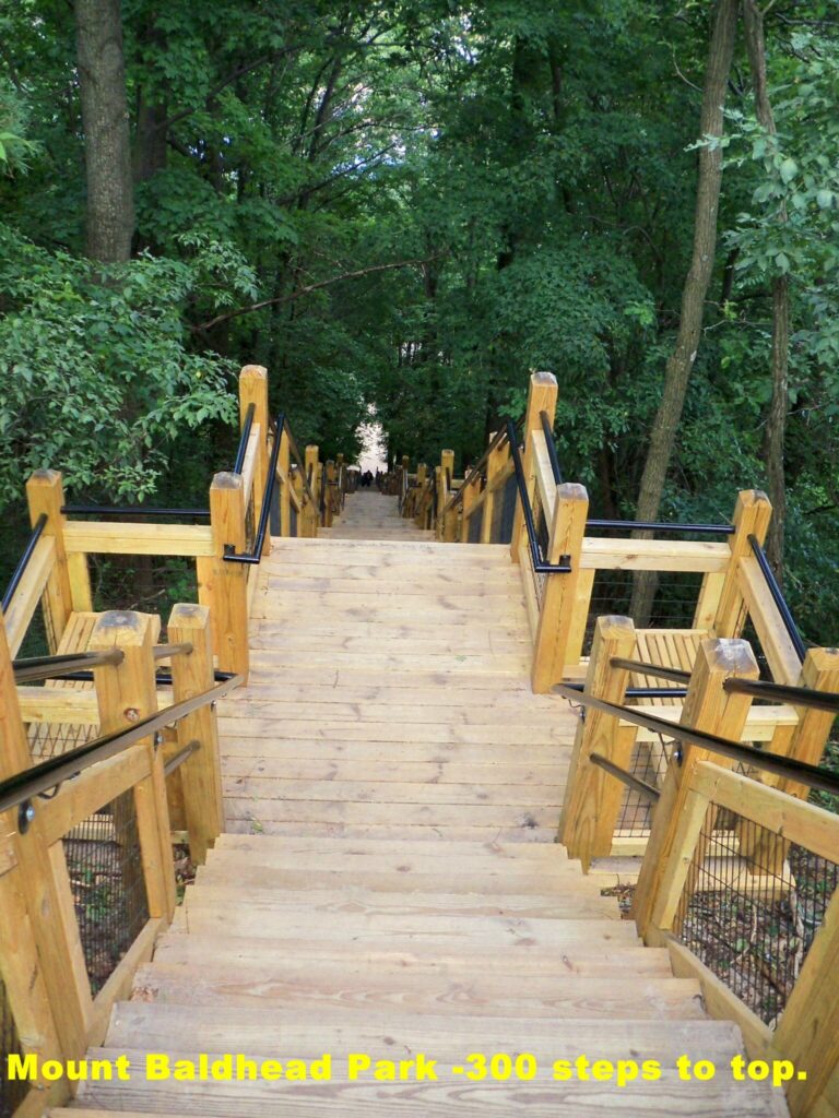 Mount Baldhead Park - 300 steps to the top!