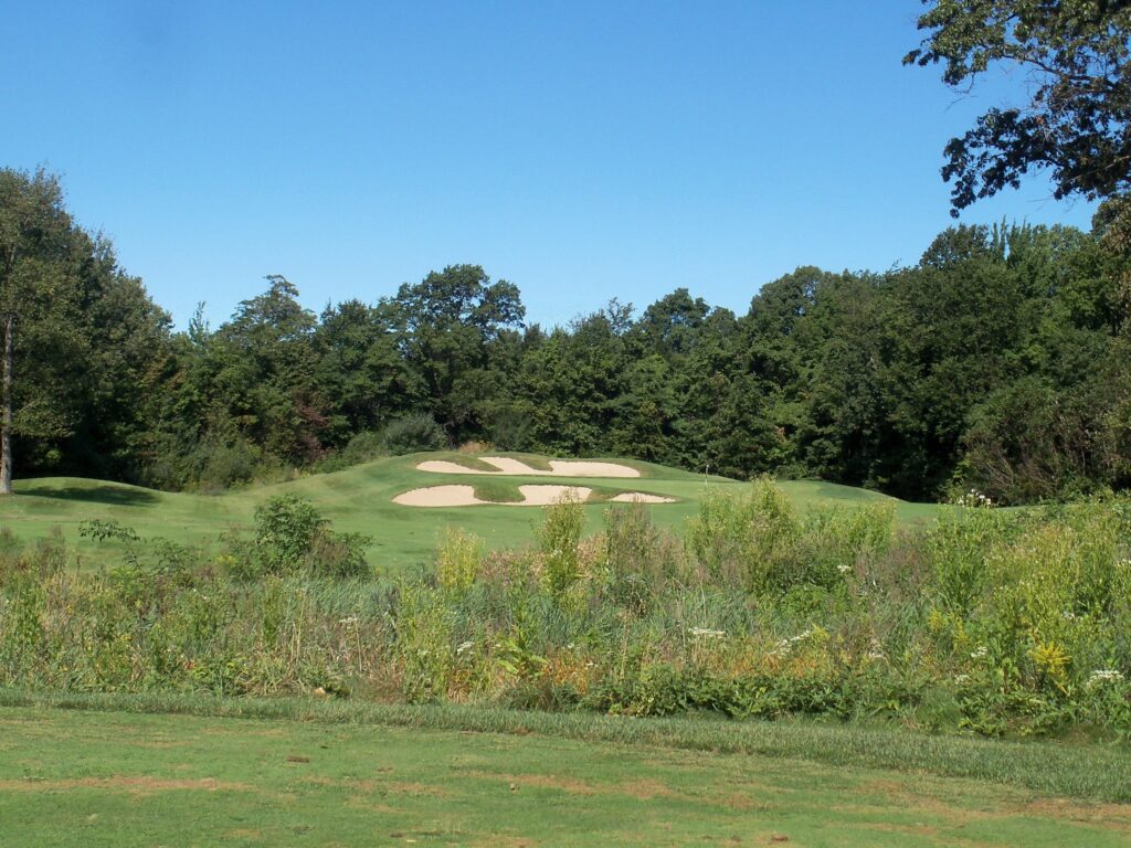 Ravines GC No. 8 a par-3