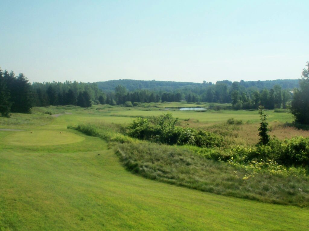 The Bear No. 8 a par-4