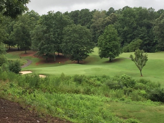 View of par-3 The Perserve at Verdae