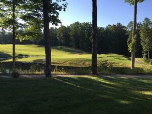 View of Cedar River GC No. 18 from Golfside Condo