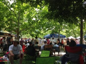 Cool shade trees at the Beer Festival