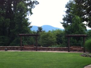 Relaxing swings with views