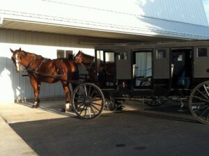 A Miller Buggy Tour for an Amish Dinner