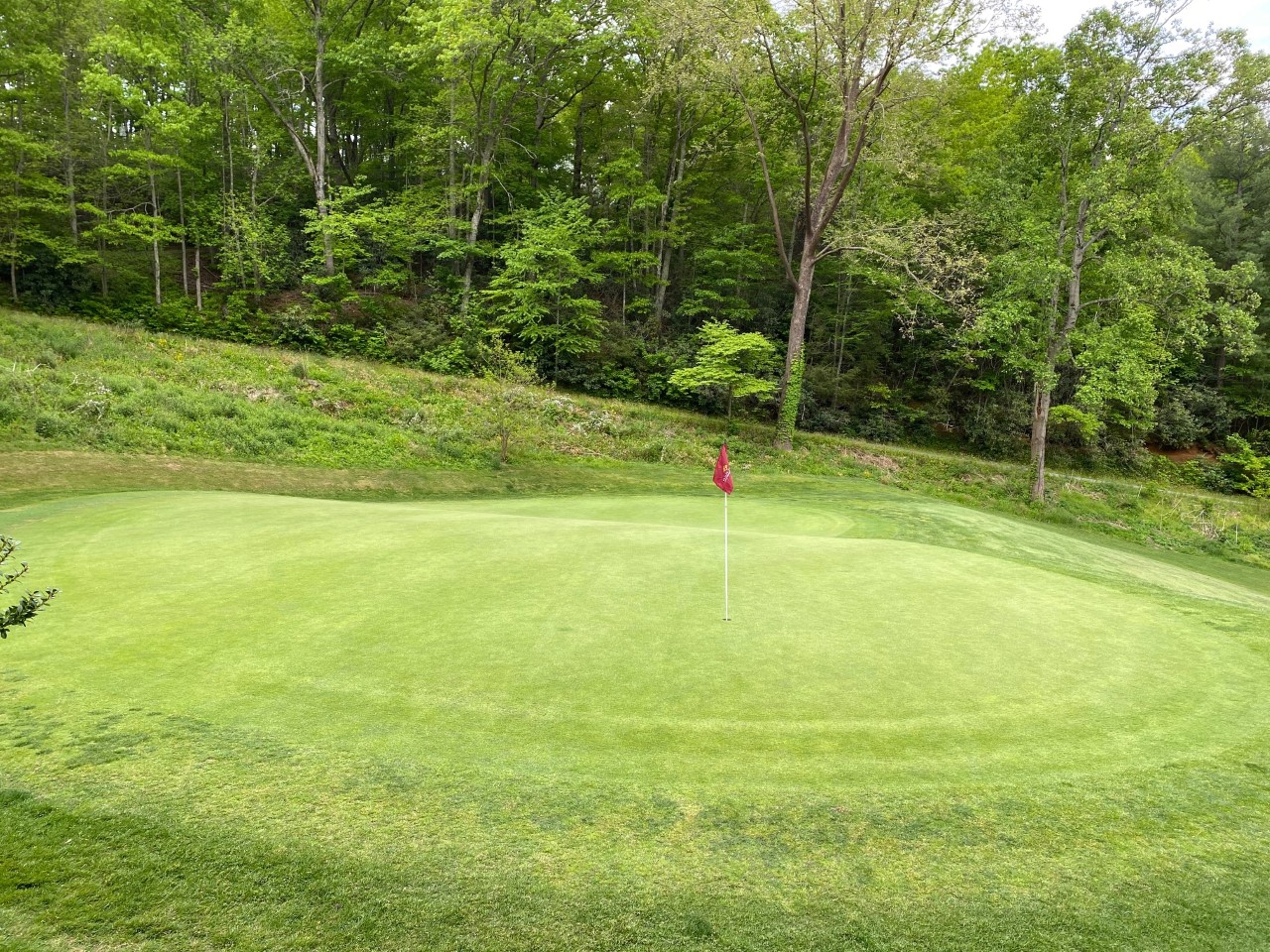 The two Tier Green at No. 11