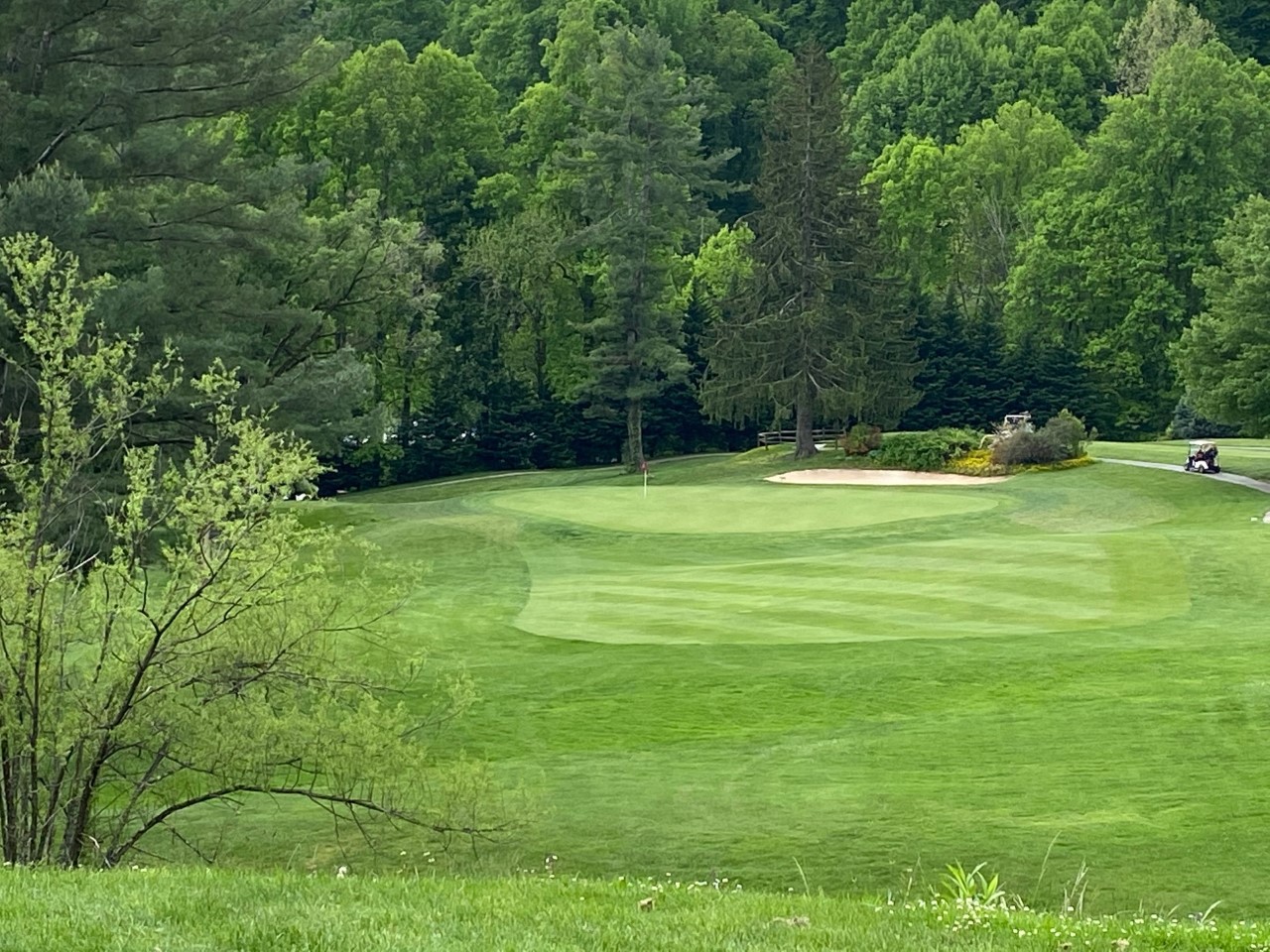 No. 15 downhill par-3