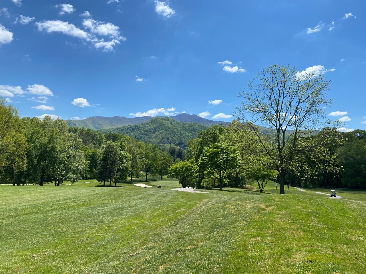 Scenic view at Springdale of course and mountains