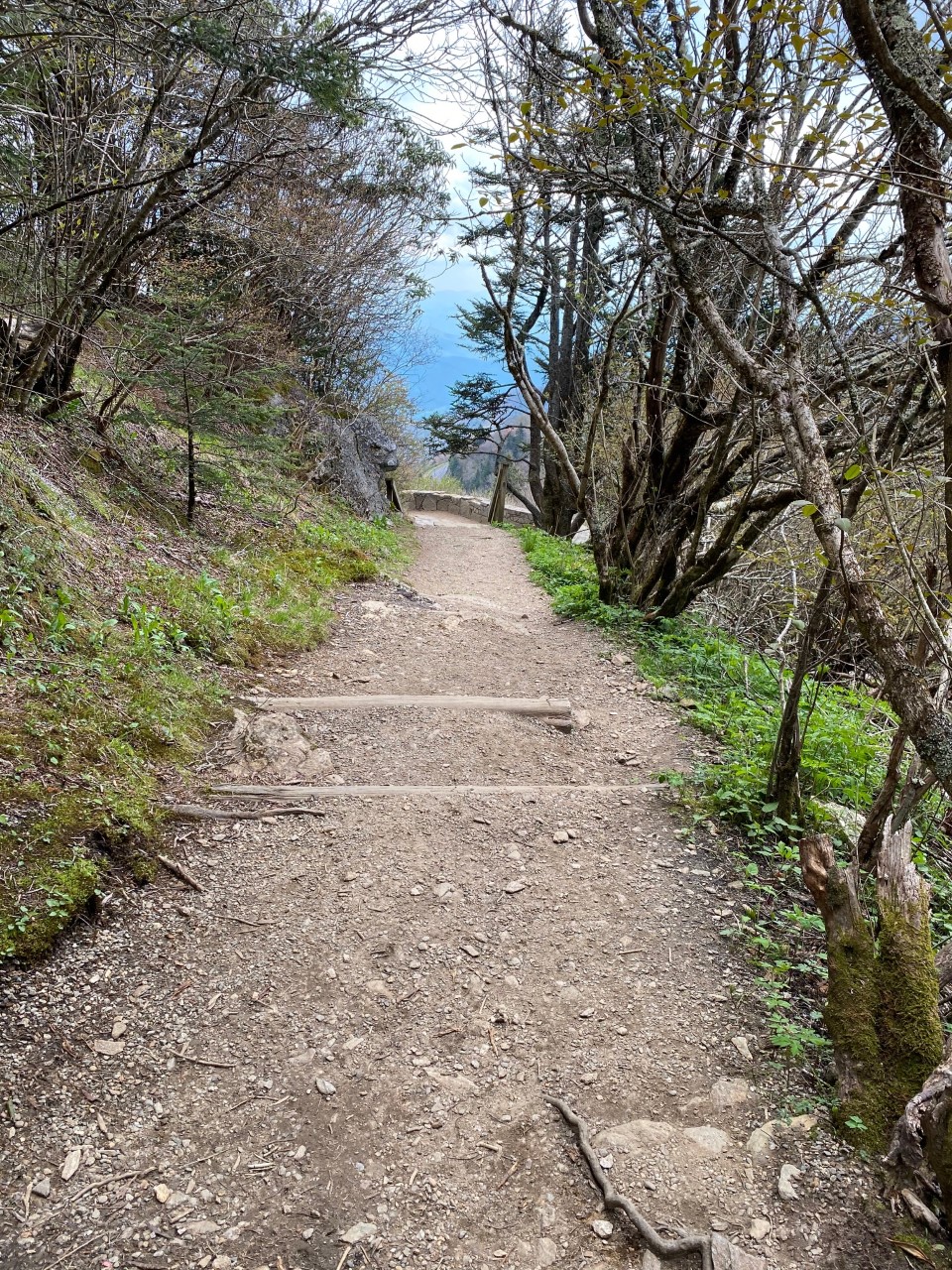 Trail leaving lower overlook to Waterrock Knob