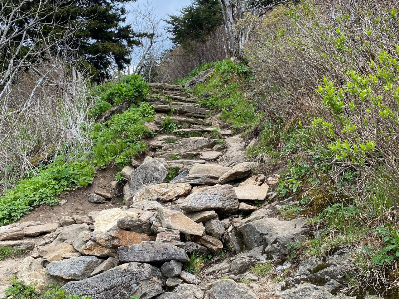 Some rocky terrain on trail to top