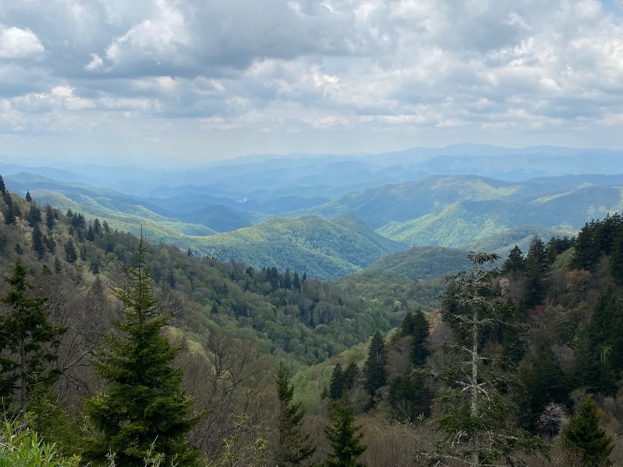 Woolyback Overlook views at 5425 Elevation