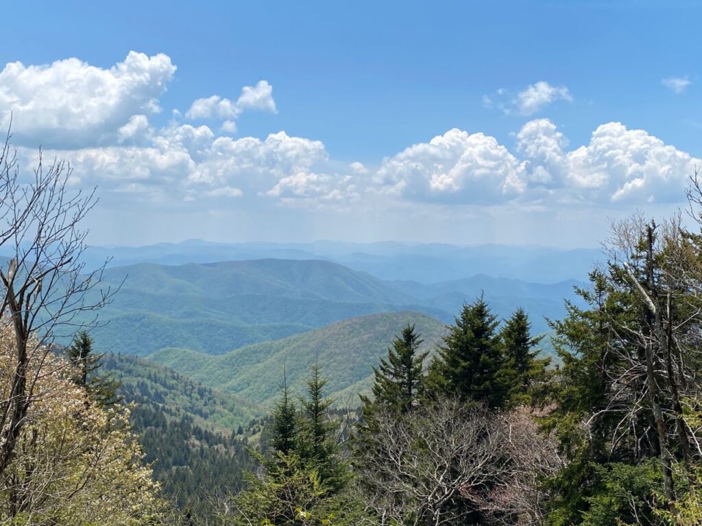 View on return loop Richland Balsam Summit Trail