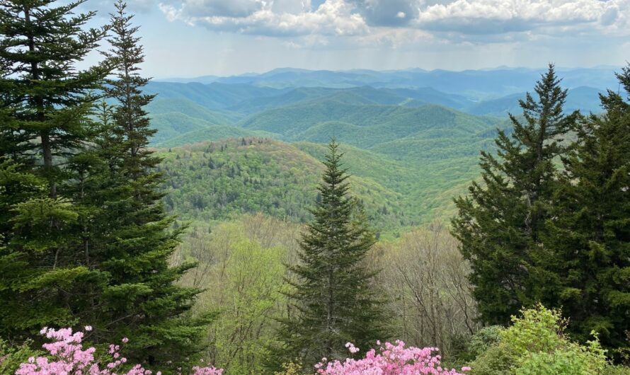 Hiking Trails on the “All American Road”