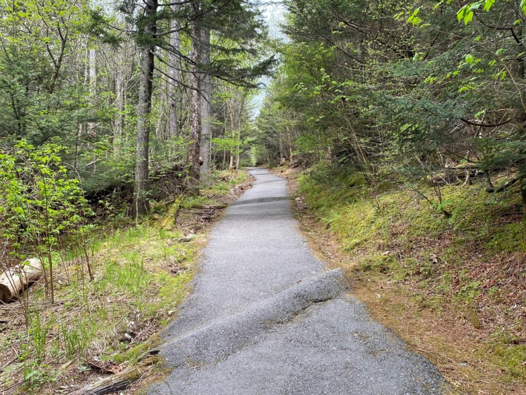 Steep paved trail at Devil's Courthouse