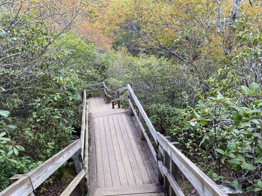 There are various sets of stairs to get to the Lower Falls