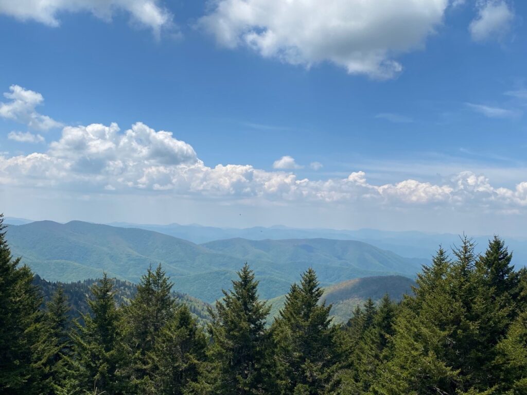 Views from Richland Balsam Overlook