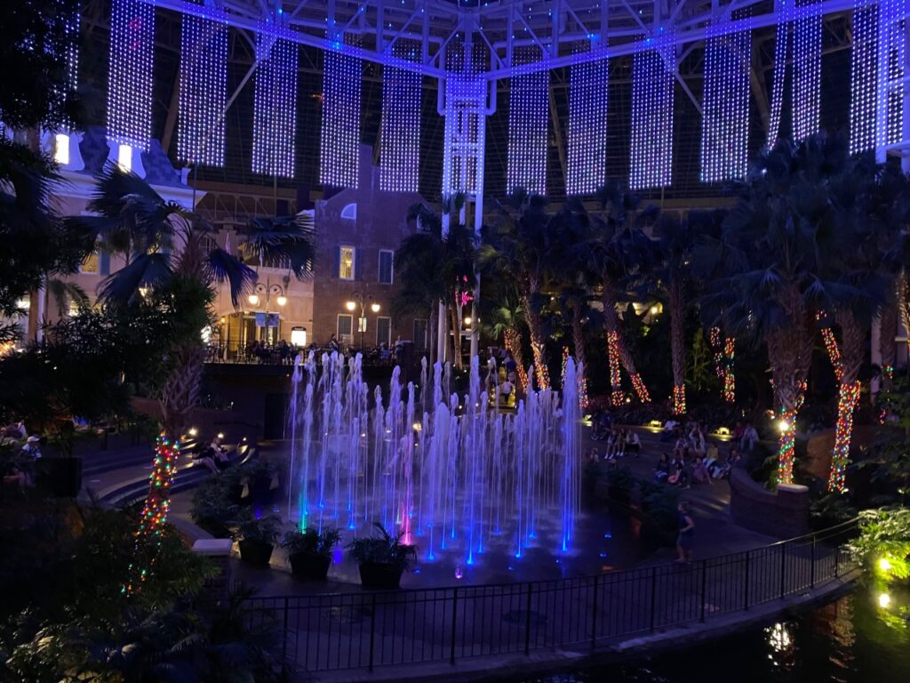 Fountain Show in Delta Atrium