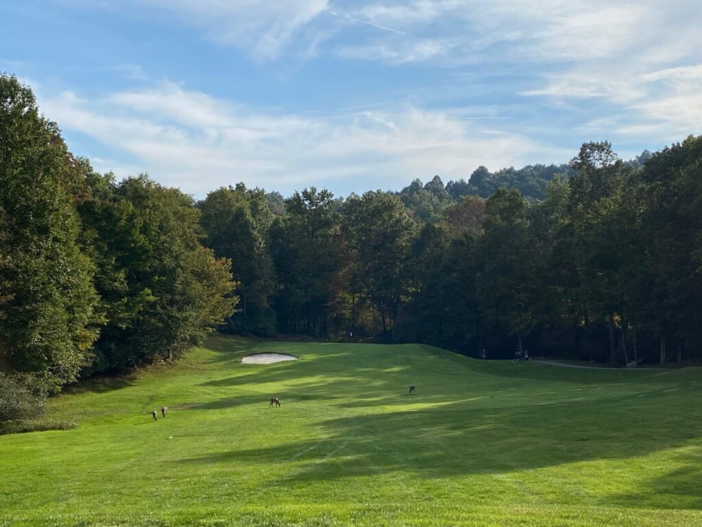 Connestee Falls No. 17 par-3 with dinner enjoying the tasty grass