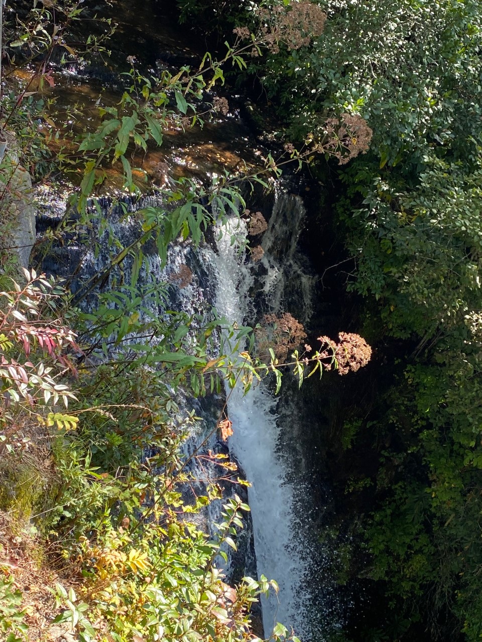 Connestee Falls - the waterfall