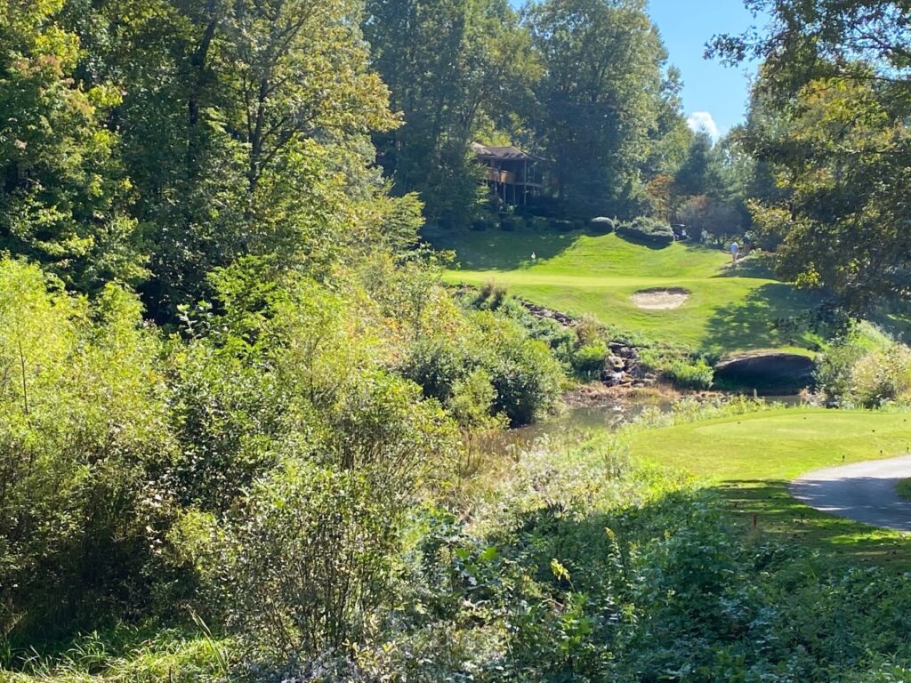 Cummings Cove No. 8 a dramatic par-3