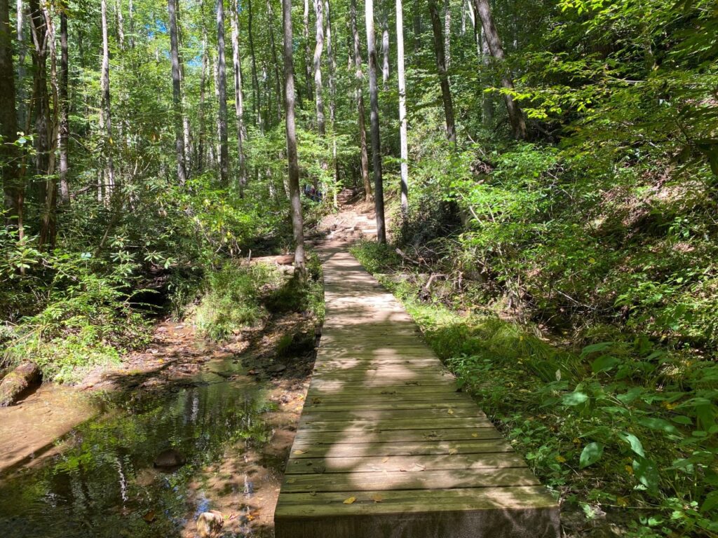 Trail at Moore Cove Falls