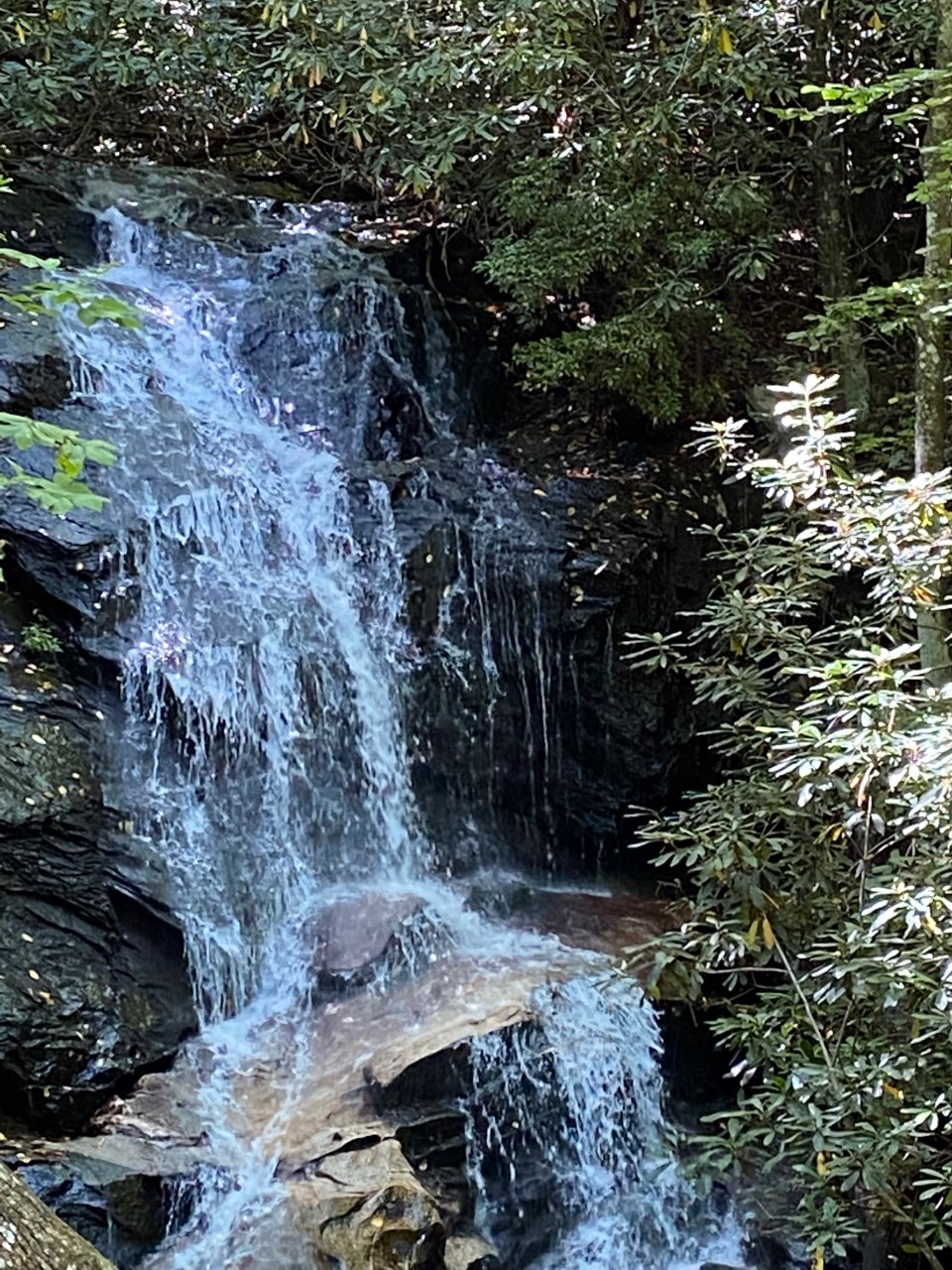 Log Hollow Falls