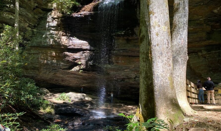Pisgah National Forest & The Land of Waterfalls