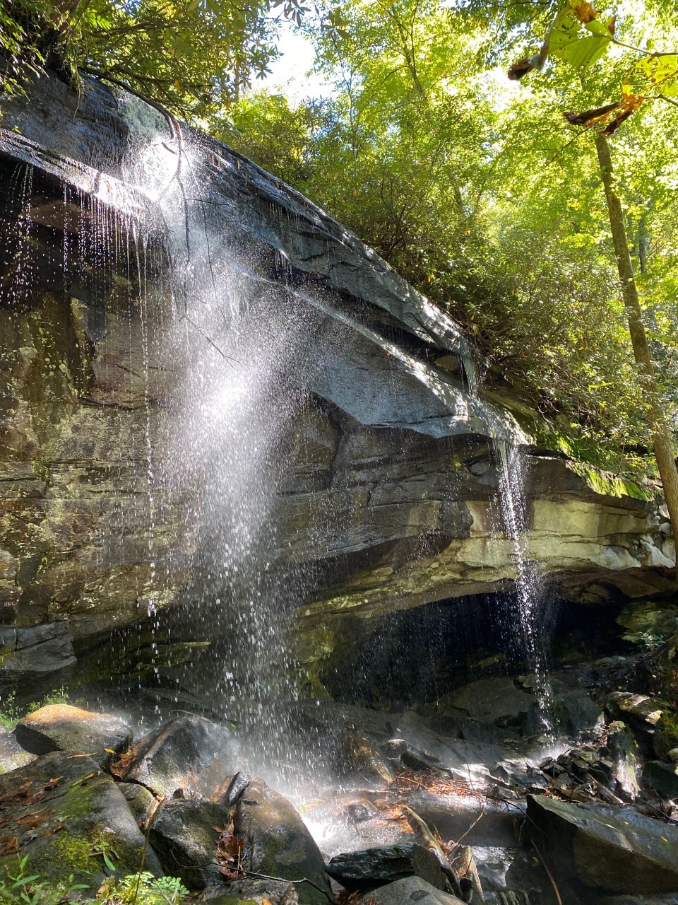 Slick Rock Fall - note rocks are covered with moss. Slippery!